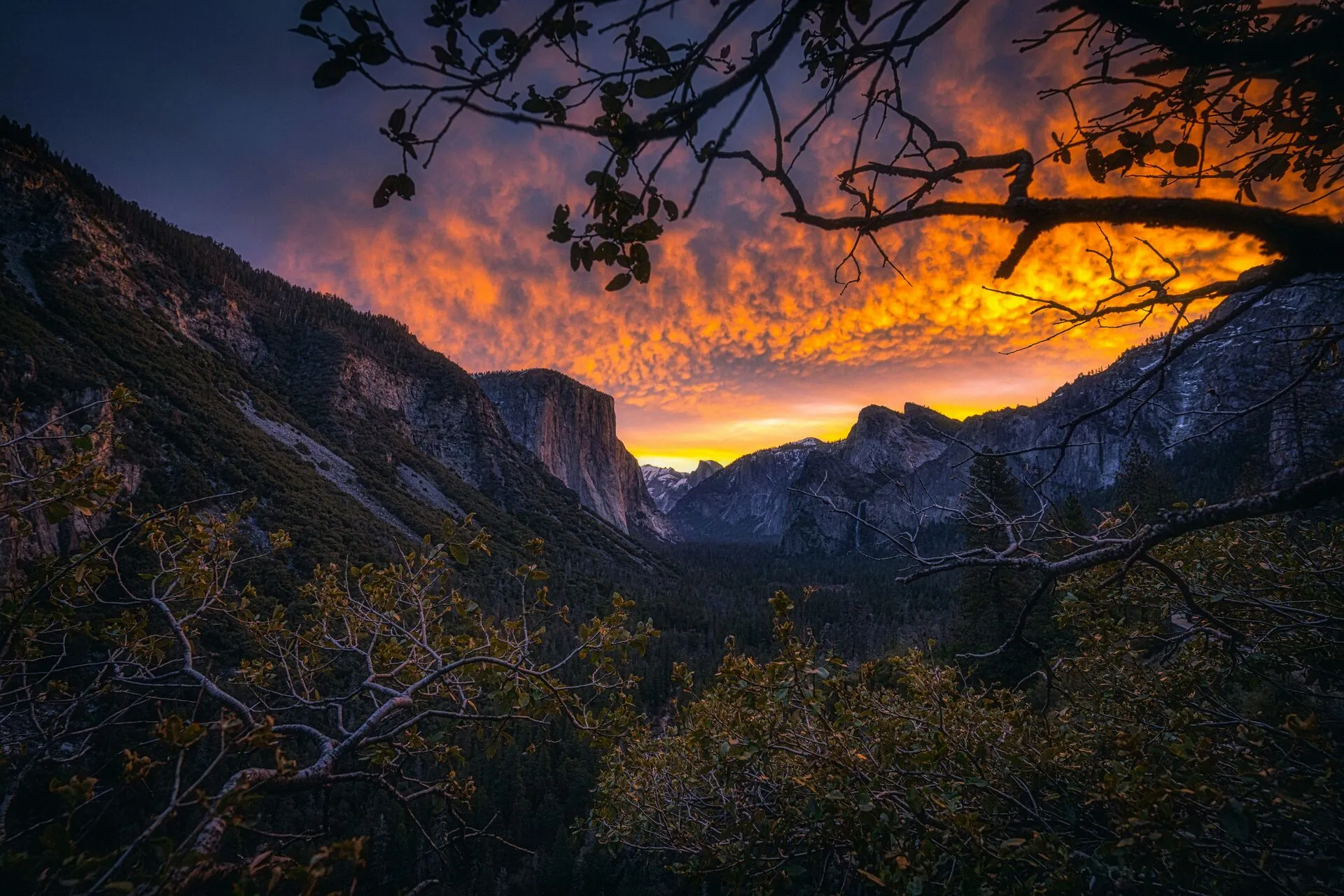 Route Feedback, Amplify Five-Star Reviews