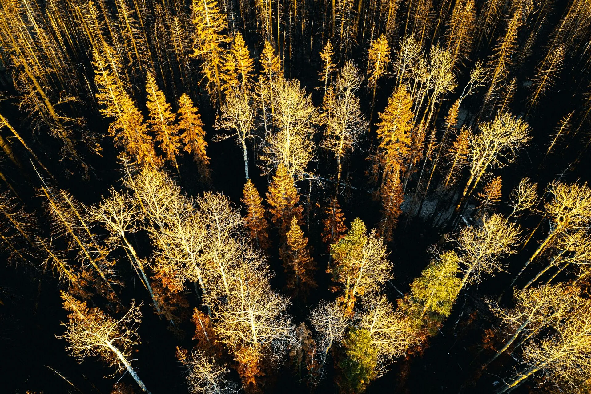 Know Exactly What Every Guest Is Worth