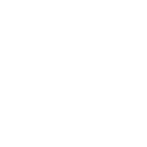 Florida Vacation Homes