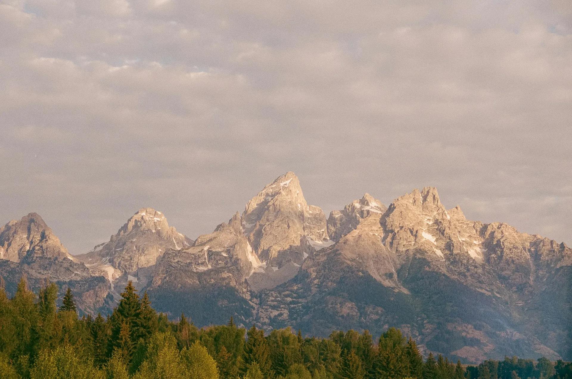 Vacation Rental CRM vs Hotel CRM: What's Actually Different