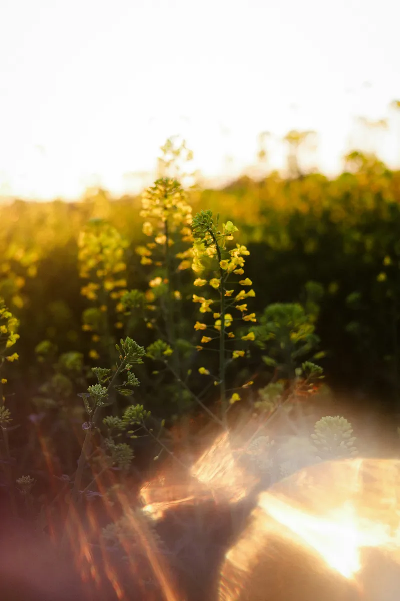 Connecting Visual One PMS to a Hospitality CRM