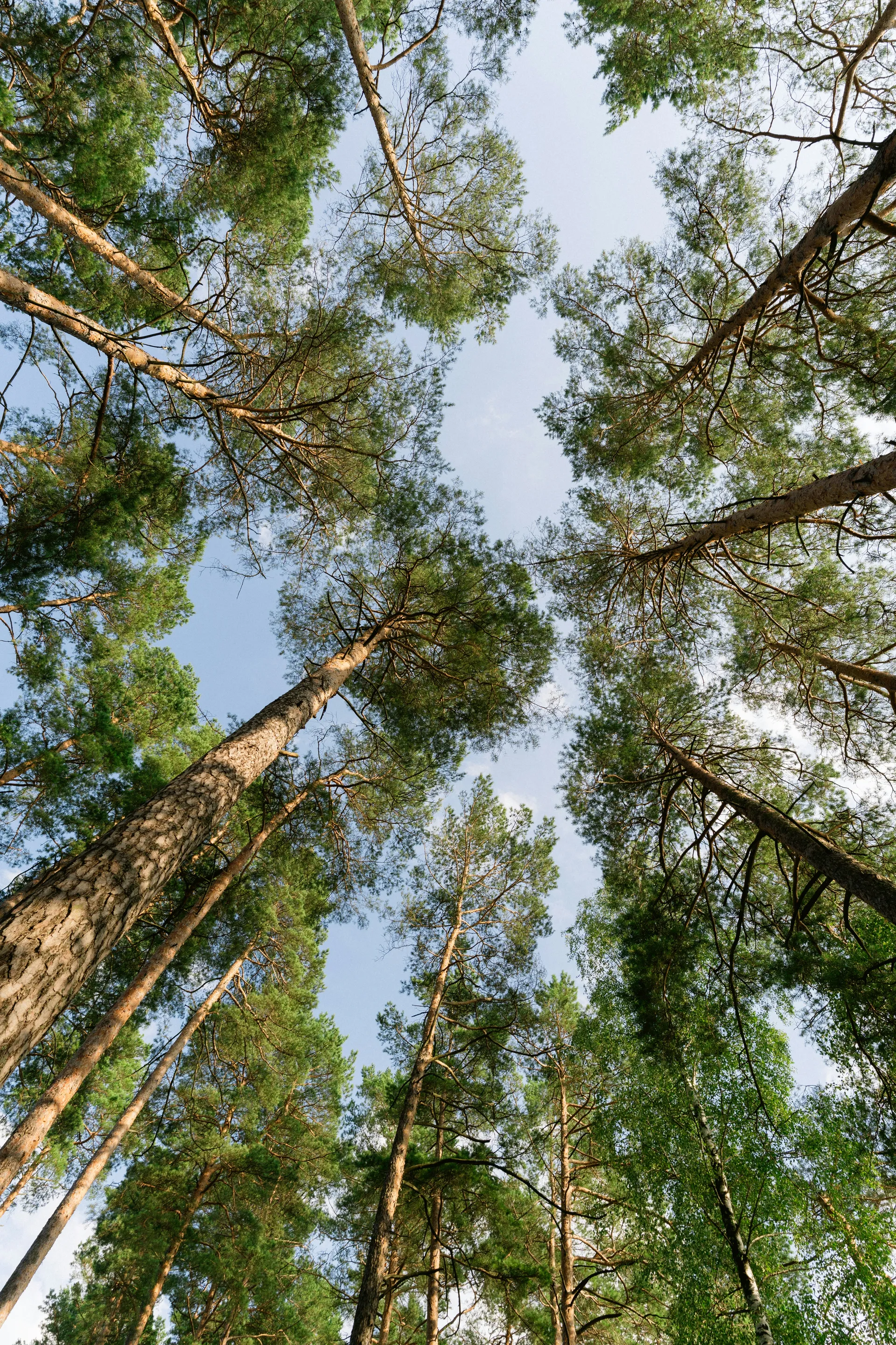 Late-Summer Booking Recovery: Filling Your August Calendar