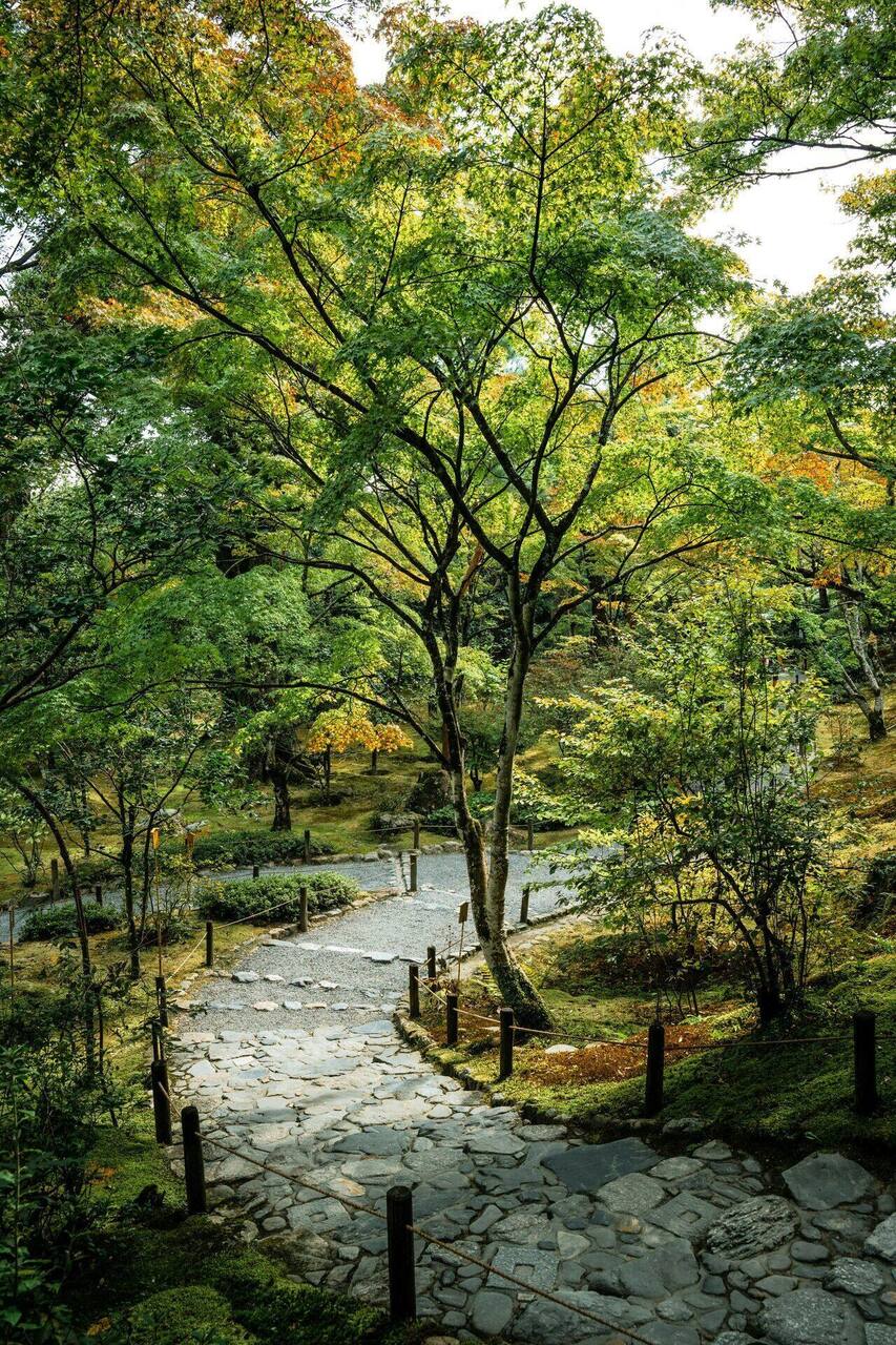 Vacation Rental Concierge Implementation Guide