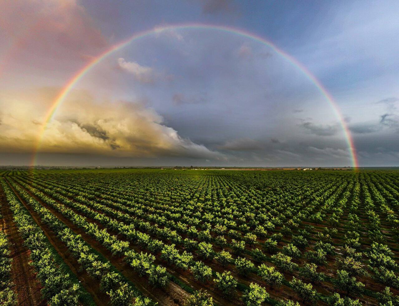 Hospitality CRM for Guest Loyalty