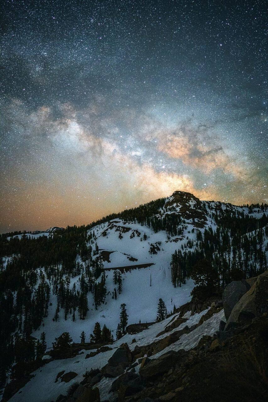 AI Voice Cost Savings for Hospitality